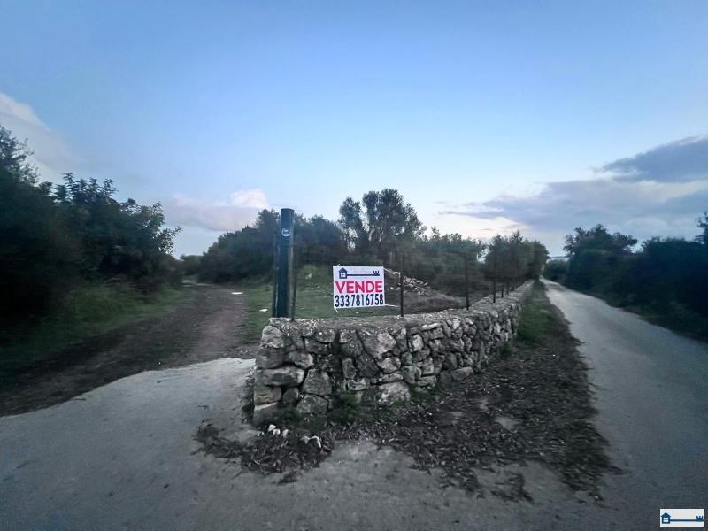 Immagine WhatsApp 2025-06-17 ore 10.46.21_f3bf1f2e.jpg